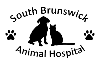 South Brunswick Animal Hospital